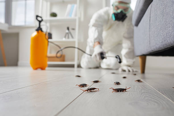 Commercial Kitchen Cockroach Control in North Augusta
